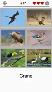 bird world - quiz about famous birds of the earth iphone resimleri 2