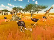 furious ostrich simulator ipad images 3