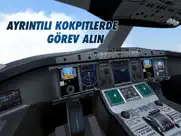 take off - the flight simulator ipad resimleri 3