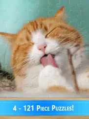 cute cat kedi yavrusu yapboz oyunları bebek çocuk ipad resimleri 2