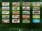 mammal guide of southern africa ipad images 2
