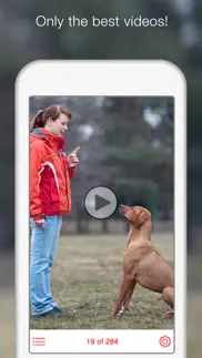 dog training school - learn how to train puppies iphone images 4