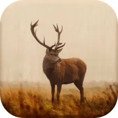 deer hunting calls new logo, reviews