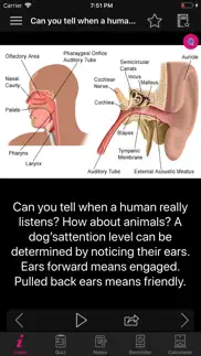 human anatomy ears facts, quiz iphone images 2