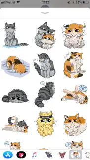 cat bigmoji funny stickers iphone images 2