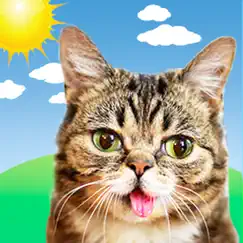 lil bub cat weather report logo, reviews