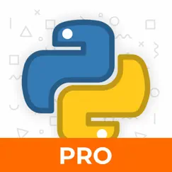 learn python 3 programming pro inceleme, yorumları