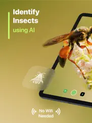 insect identifier iPad Captures Décran 1