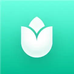 plantin vision logo, reviews