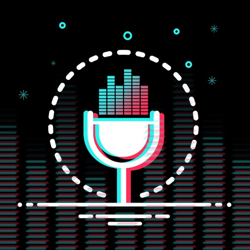 Voice Changer - Audio Effect app reviews download