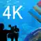 Aquarium Videos 4K anmeldelser