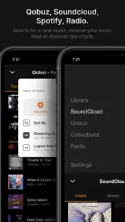 vox – mp3 & flac music player iphone images 2