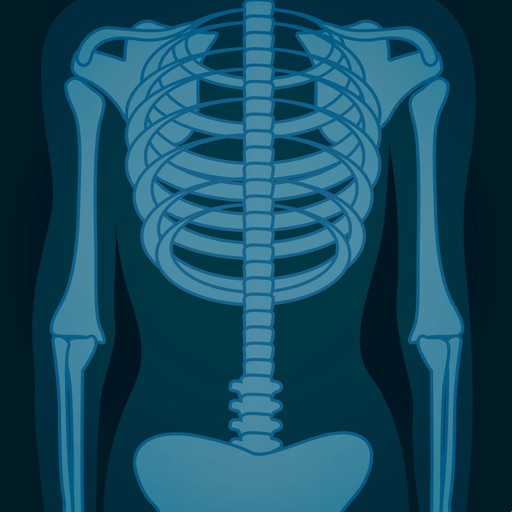 Skeletal System Flashcards app reviews download