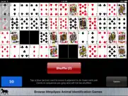 montana classic solitaire ipad images 3