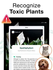 plants air - plant identifier ipad images 2