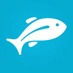 fishbox - fishing forecast app logo, reviews