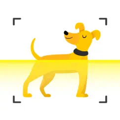 dog scanner - dog breed id logo, reviews
