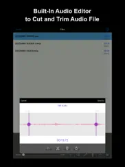 sp voice iPad Captures Décran 2