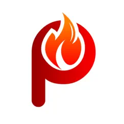 pyro netsis mobil logo, reviews