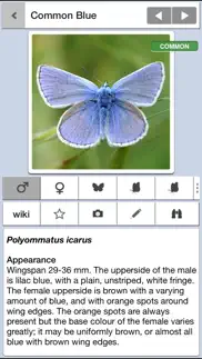 butterflies & day moths uk айфон картинки 1