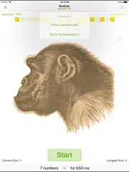 ape test ipad images 1