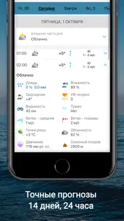 Прогноз погоды на 14 дней pro айфон картинки 4
