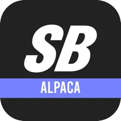 soundboks - alpaca-rezension, bewertung