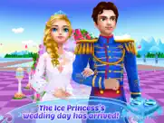 ice princess royal wedding day ipad images 3