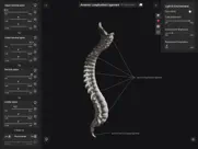 biomechanics of the spine lite ipad capturas de pantalla 3