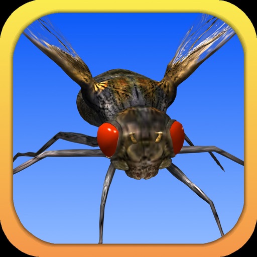 Angry Flies app reviews download