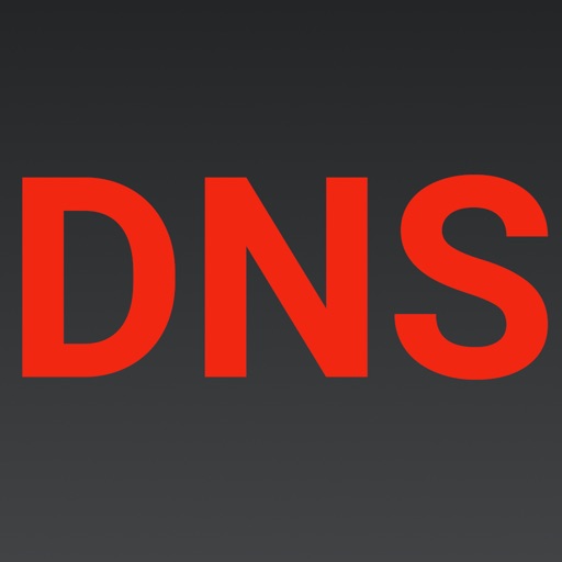 Simple DNS app reviews download