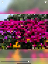 pixel art - create nft ipad resimleri 3