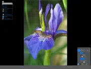 colorhints mosaic iPad Captures Décran 1