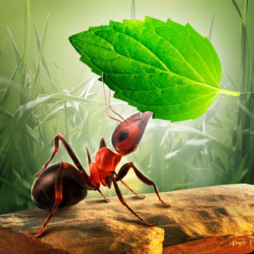 Little Ant Colony - Idle Game app reviews download