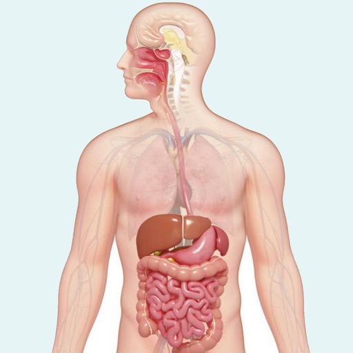 Learn Digestive System app reviews download