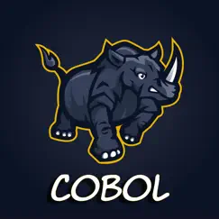 Learn Cobol Programming 2022 analyse, kundendienst, herunterladen