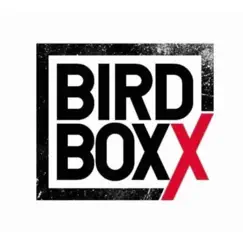 bird boxx revisión, comentarios