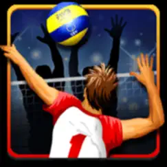 volleyball championship logo, reviews