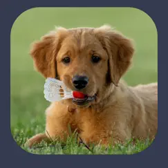 dog sounds - clicker trainer logo, reviews