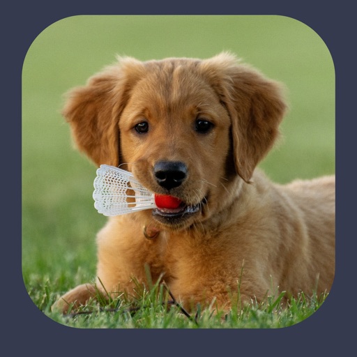 Dog Sounds - Clicker Trainer app reviews download