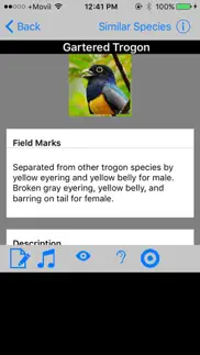 belize birds field guide iphone images 3