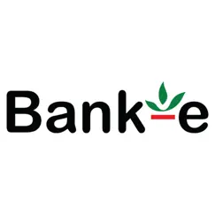 bank-e logo, reviews