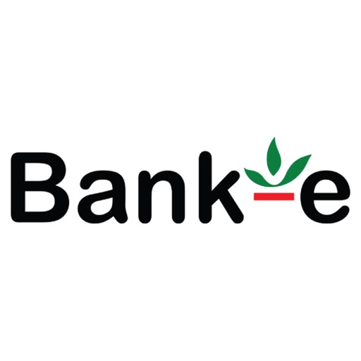 Bank-e app reviews download