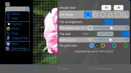 colorhints mosaic iPhone Captures Décran 3