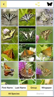 butterflies & day moths uk айфон картинки 2