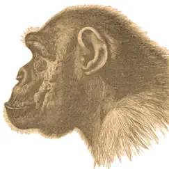 ape test logo, reviews