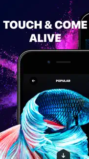 live wallpaper & wallpapers hd iphone images 3