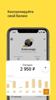 Яндекс Про: водители и курьеры айфон картинки 2