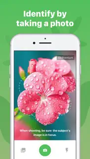 plant identification ++ iphone images 4