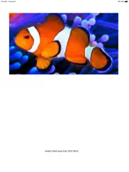 aquarium calc ii ipad images 1